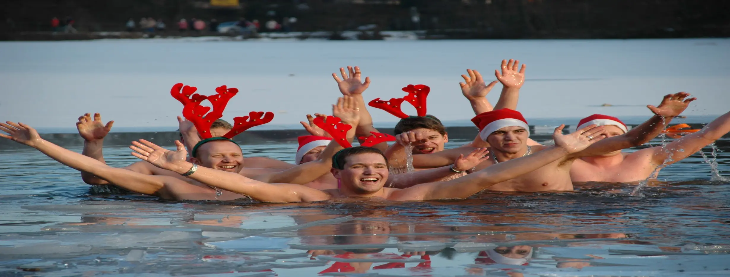 Image for Ice Swimming